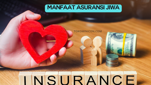 Menjajaki Berbagai Pilihan untuk Asuransi Jiwa dan Warisan Keuangan