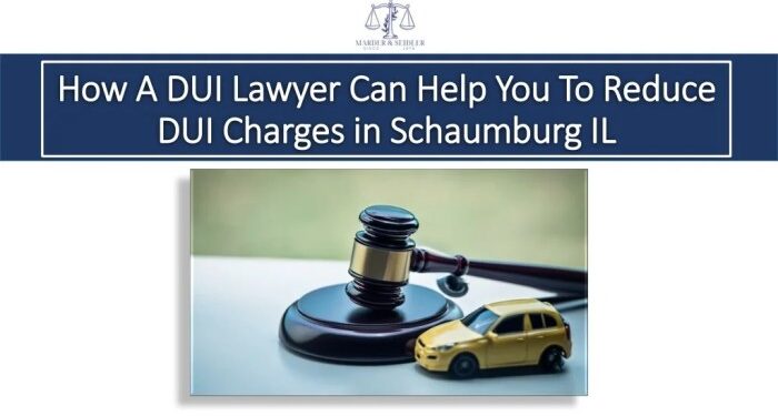PPT - How A DUI Lawyer Can Help You To Reduce DUI Charges in Schaumburg ...