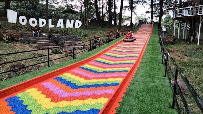 Dari Telaga Biru hingga Hutan Pinus, Ini Alasan Kuningan Selalu Ramai Saat Liburan